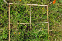 a856f365-5086-4f12-a34b-d15408ff1c08