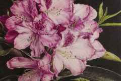 10-kategoria-klasa-IV-VIII-miejsce-1