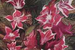 11-kategoria-klasa-IV-VIII-miejsce-2