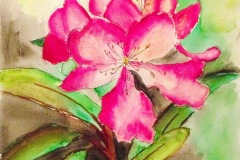 kategoria-klasa-I-III-2-miejsce