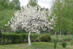 Erik-Brych-year-9-Gazdzik