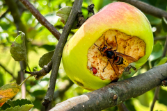 IMG_4724-MNielubowicz