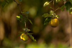 author-Pola-Robashkevich-cath.-to-18-year-olds