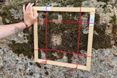 111f2afd-f334-4cff-9b2e-f5889fa41331