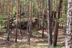 1167aab7-57ac-4193-857c-59d5b76daf97