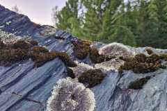 131c7204-e741-4280-8a29-5716b379467a