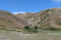 1bfbfc06-6f8d-411c-9a2b-c2cf9fb8e93a