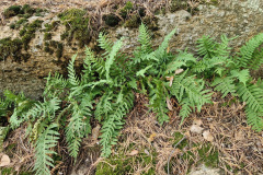 40e9a61e-c3ee-442b-9f7f-5fc327e65b41