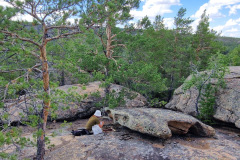 49075b8c-76fe-436d-9442-053d089a917e