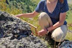 5b200805-ad94-4e44-b97a-a3febf1d2dce