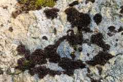 5d94cc63-cf1f-4b9f-ab4a-7fba8fddfe43