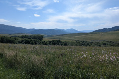 60582055-0dbd-460c-a793-a3fd9f2ea675