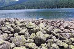 6656c07c-044c-4f1f-be59-87b025c7597e