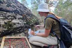 690d7703-dc73-4e7a-a52f-1a90cf5fc48e