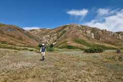 701df23e-337d-4a36-a93b-03800afefbed