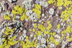 746a3fe6-d08a-41af-a4af-8683848cdd08