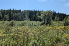 74b3ba03-5bb8-4307-836f-8983b163a3c5