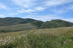 779edbbd-1639-4600-ac03-d41d361f38f4