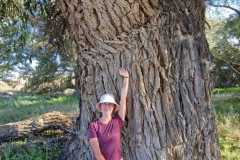 7a5ac5c8-36fa-4d23-966b-4fcef8dc3b54