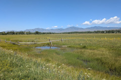 7c27eadf-582e-4ab1-98a4-e876694a39ab