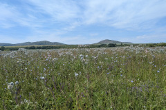 8db02d56-8dc7-4205-9a87-3c3577d8de35