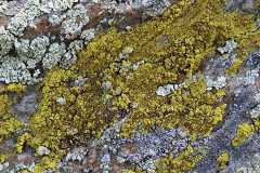 8e45f0de-1c72-4f78-a4a6-10e10fb7b30a