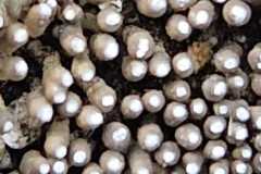 916b1412-3a2d-48e3-8f32-d9a8027319ca