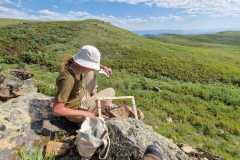 94b3ad29-2d93-4fa1-bb9f-952d56585640