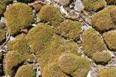 9ccade1c-f3c6-4533-968c-644c52cb93b3