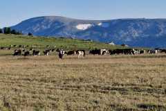 a1013f6d-e108-4000-82c1-51425797e6b0