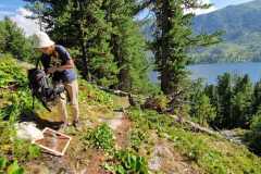 a16acb3f-4f6a-4232-b019-b331435ba826