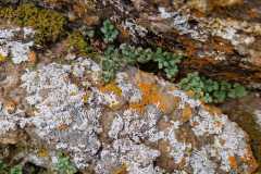 aee6cd53-7879-4808-b2c4-6e24d77ebeb1