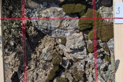 b88d17b1-af75-4ccb-bc48-9dbf70fdfe3b