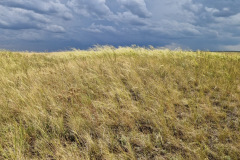 b9170f58-d6f4-440d-b490-a2fa269d5c37