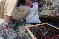 bcdf93e3-4b15-4286-b902-d8bb754513e6