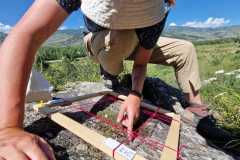 c3a13481-0cf5-4ad3-af1b-daa0a847c2a5