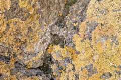 cab3c99f-8f54-41ab-82a0-7fec4e5f0770