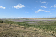 cc021137-07aa-42a5-a59f-0c3c31c4b34e