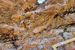 cc8d9564-be07-4103-a5d7-ea49f3c5eb08