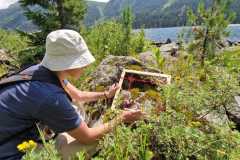 cf00c2fe-f41b-4443-9f31-08d919d83175