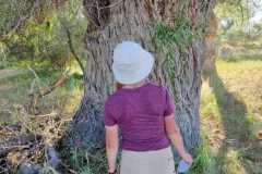 d1b57702-0a18-41bb-83c6-c08d949e7b41