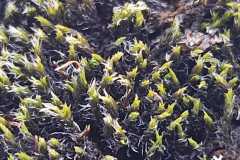 d218238e-37e6-4ae8-b86d-5b672dec90c6