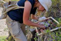 d6fda6d1-9594-459a-9c21-05ba5761a23e