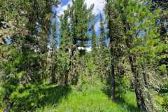 d8c0d80c-077c-4703-b14b-a70c9def5089