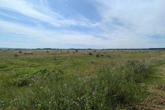 d9f9a7cf-9957-4936-81a0-dbbded88cef6