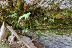 e3bba99a-aec1-4d8d-b538-e157383ac4af