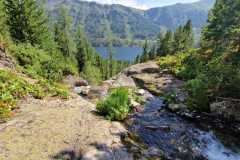 e8b68269-4761-4084-92fe-1d6ff76fe2bf