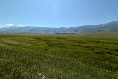 f25077c9-4f2c-4b2b-85ae-821029b8c031