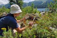 f6d28ab4-0e07-4062-9f69-9af6a0172709