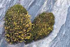 f7f8d809-305b-4916-9df3-c23b6296f66a